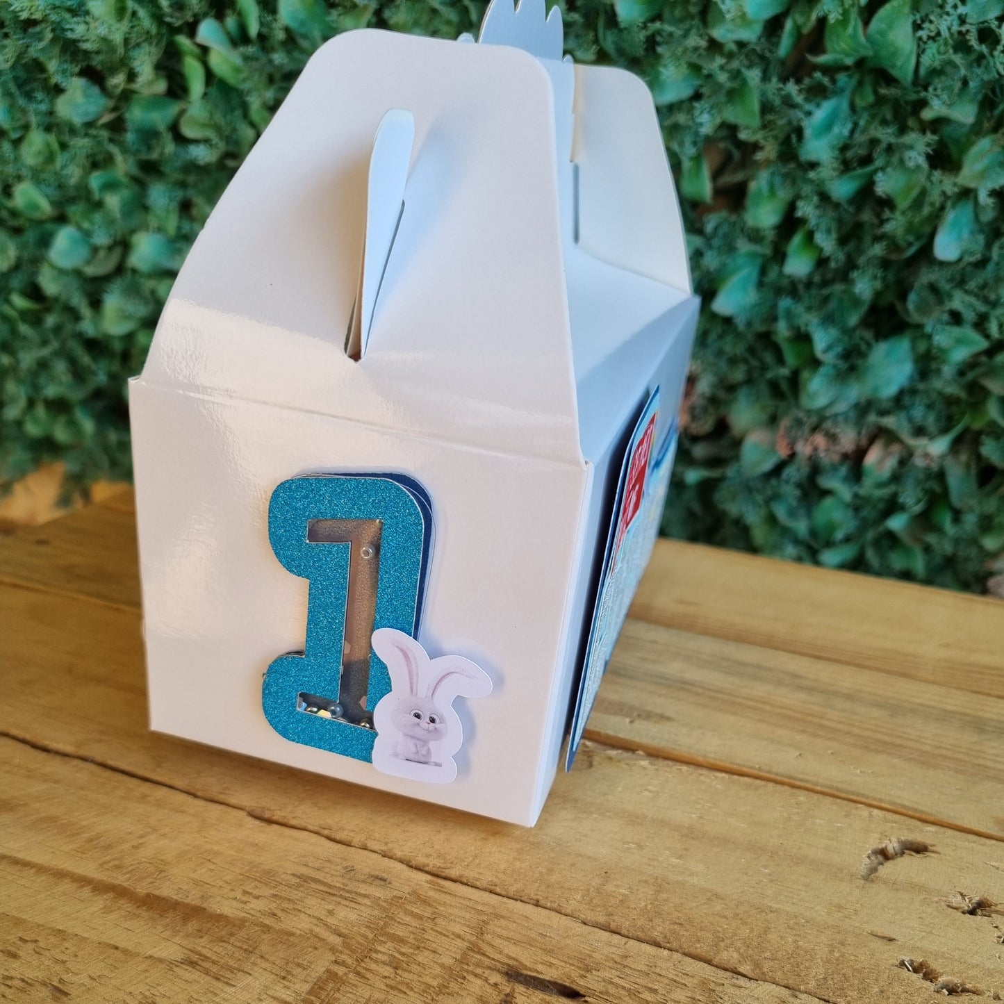 SECRET LIFE OF PETS PARTY PACK 5 BOXES Personalized Kids’ Party Favors South Africa