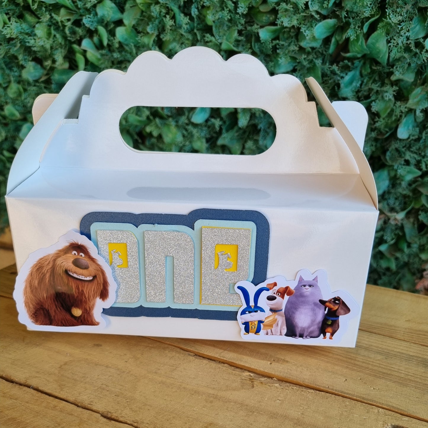 SECRET LIFE OF PETS PARTY PACK 5 BOXES Personalized Kids’ Party Favors South Africa
