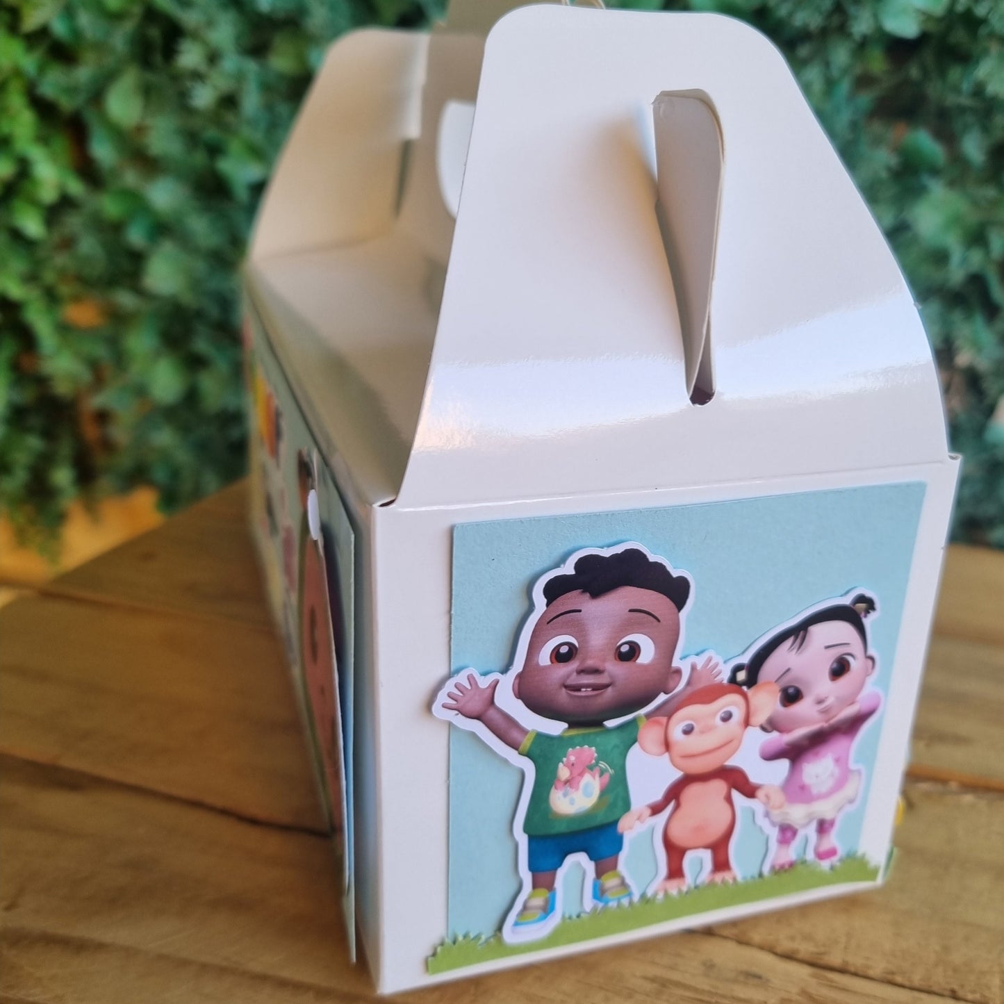 COCOMELON PARTY PACK 5 BOXES Personalized Kids’ Party Favors South Africa
