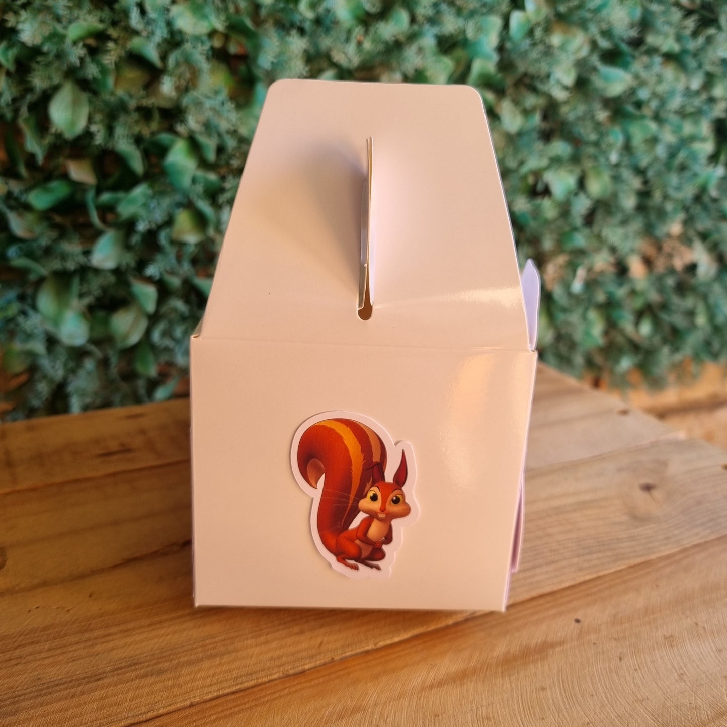 SOFIA THE FIRST PARTY PACK 5 BOXES only, personalized kiddies birthday party themed decor party boxes customized