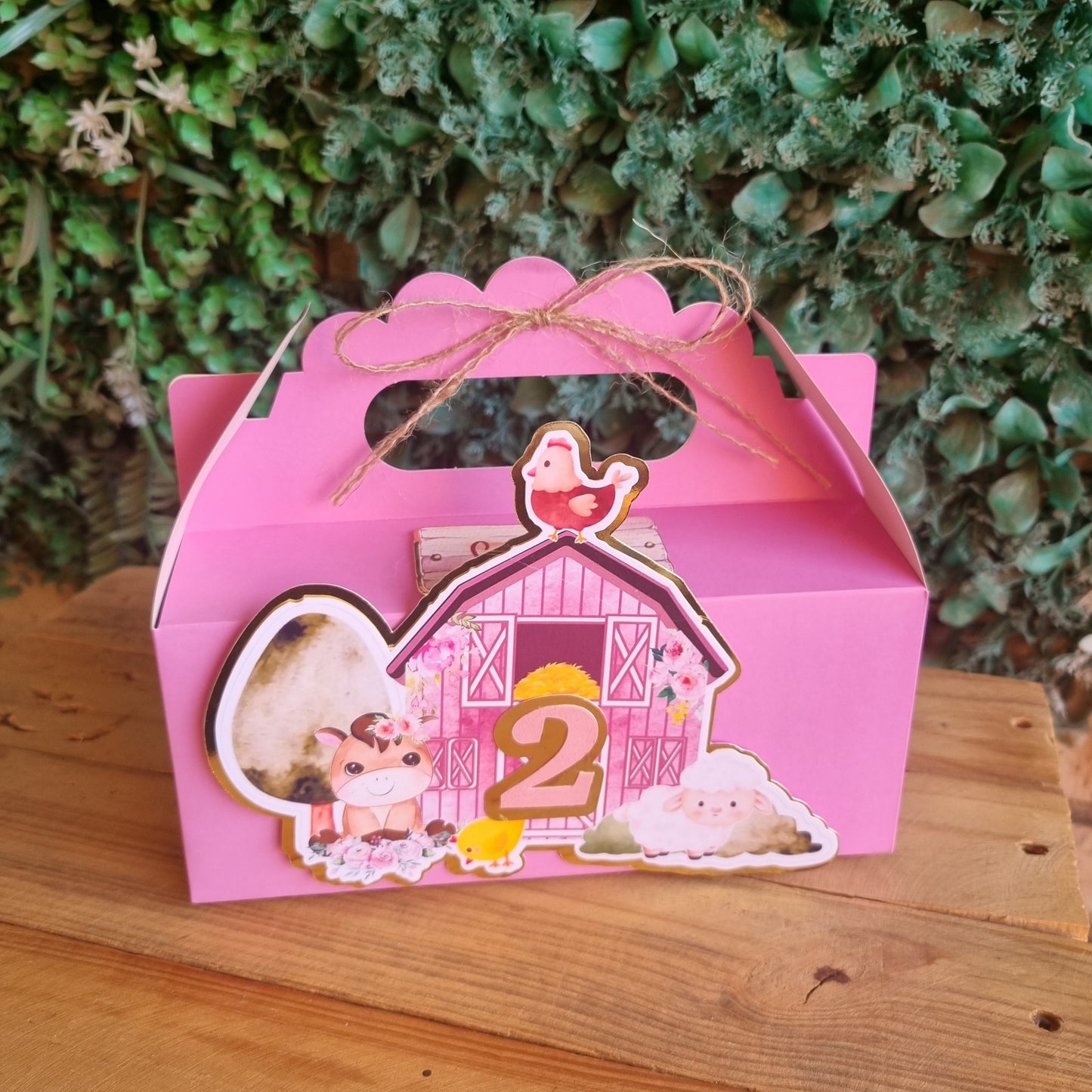 FARMHOUSE BARN FARMYARD PARTY PACK 5 BOXES Pink