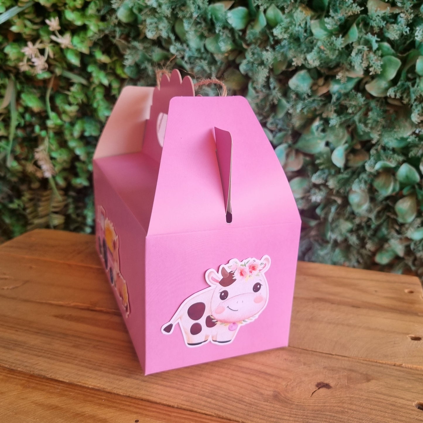FARMHOUSE BARN FARMYARD PARTY PACK 5 BOXES Pink