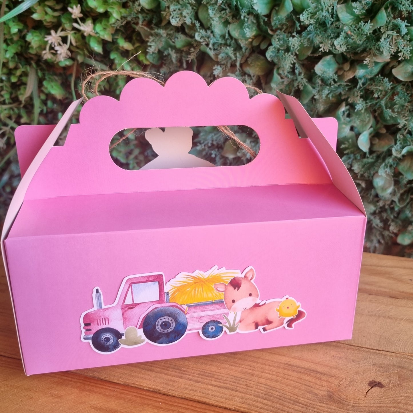 FARMHOUSE BARN FARMYARD PARTY PACK 5 BOXES Pink