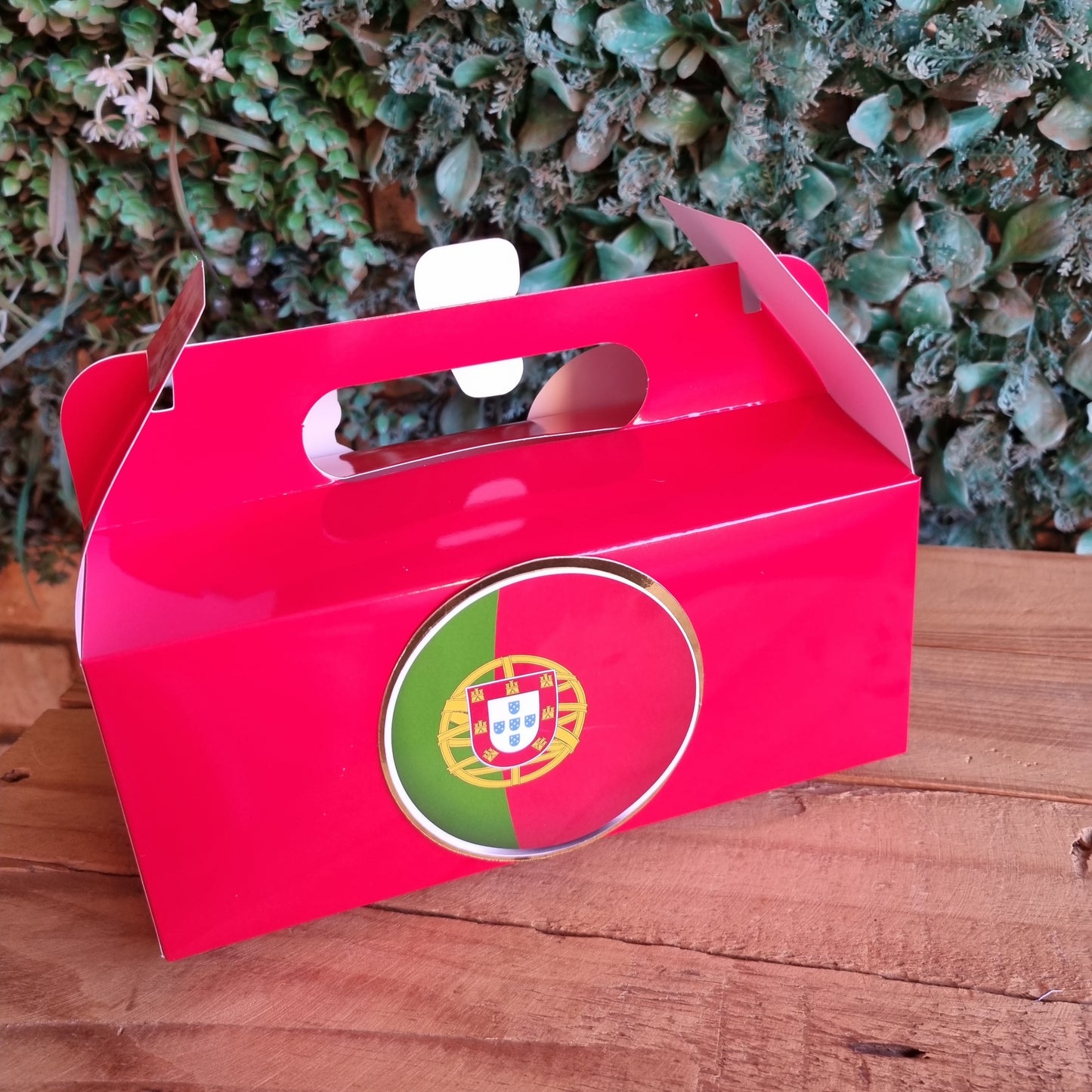 Red gift box with a circular design on a wooden surface and green plants in the background