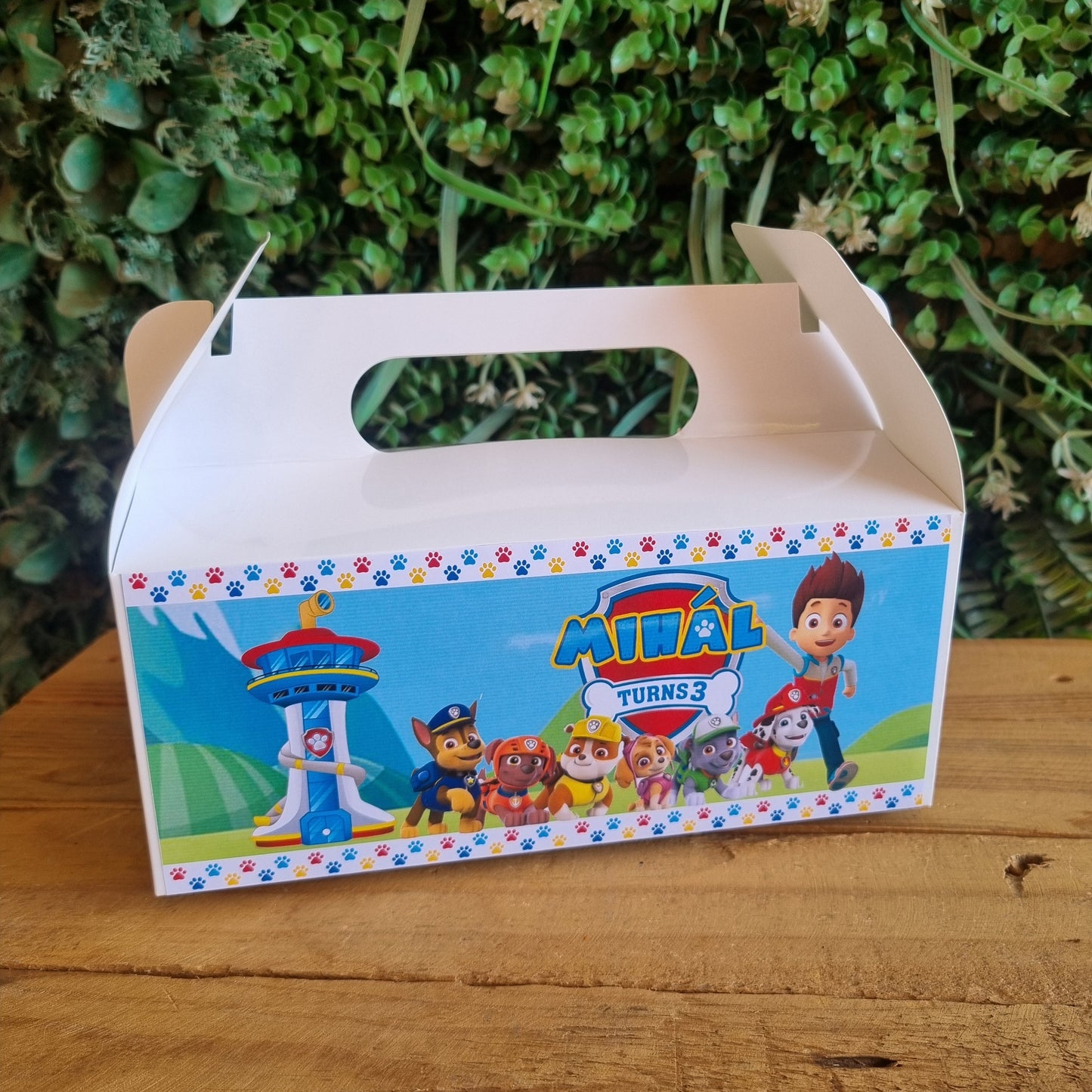 Paw Patrol Party Pack Box Set of 5