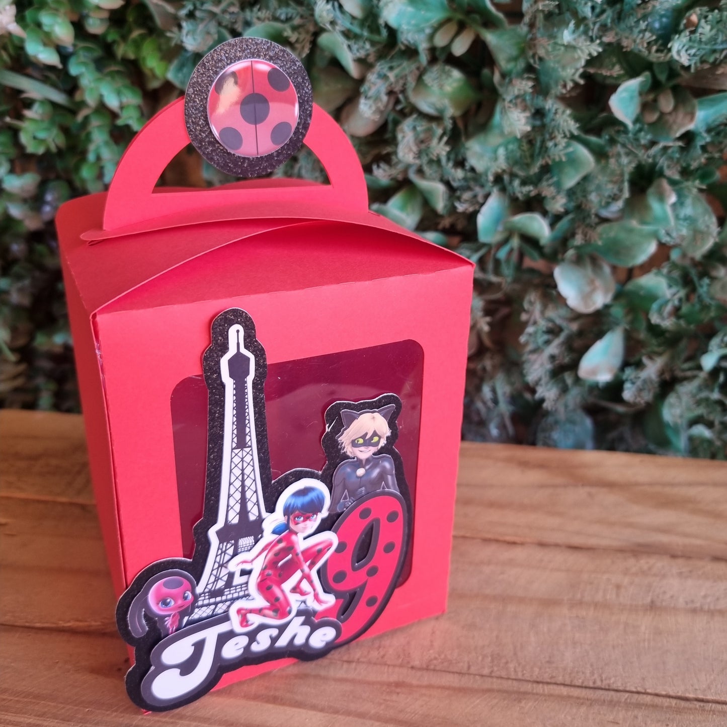 Red box with a cartoon character design on a wooden surface and green plants in the background