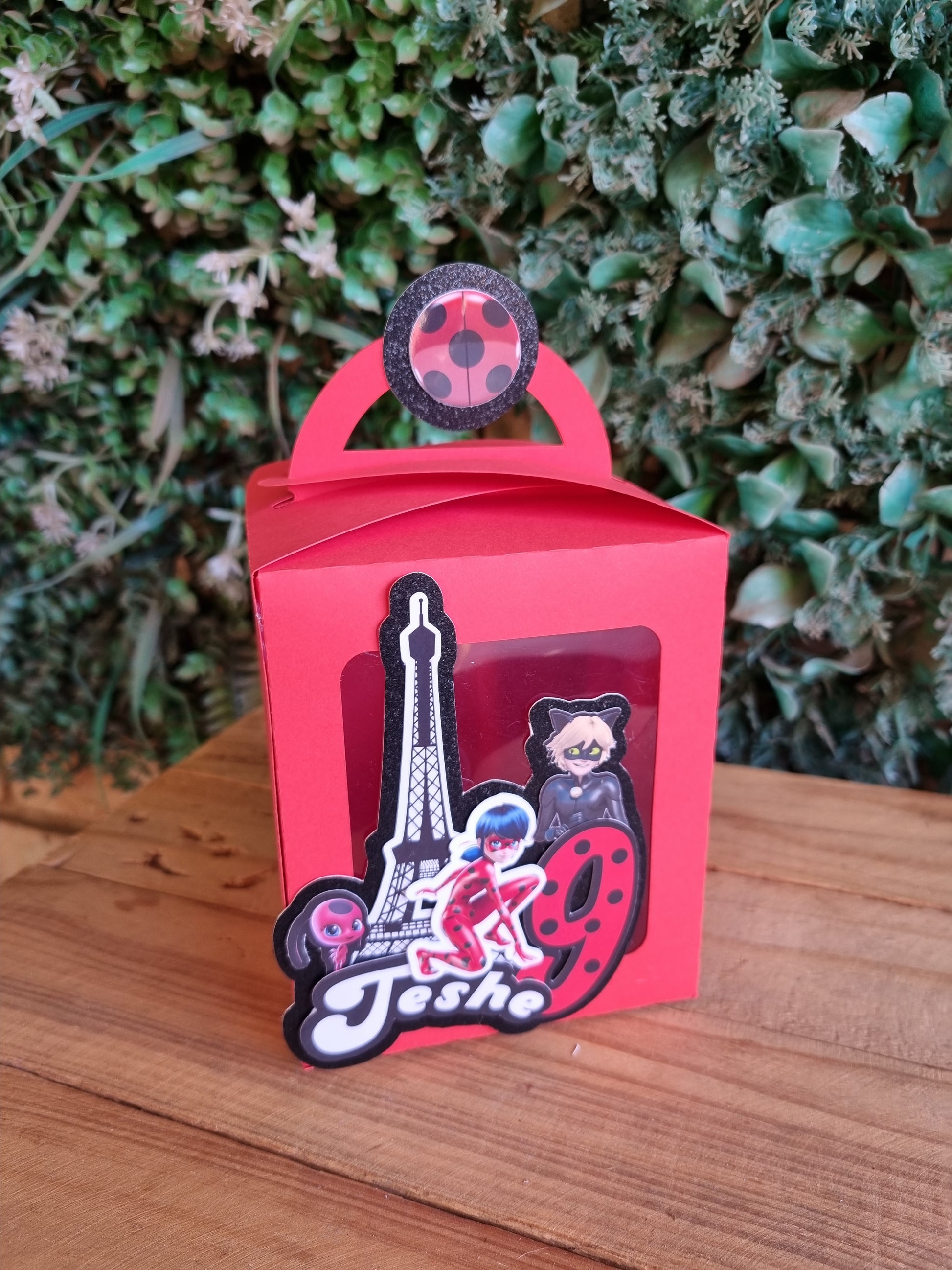 Red box with a black and white character design on a wooden surface with greenery in the background