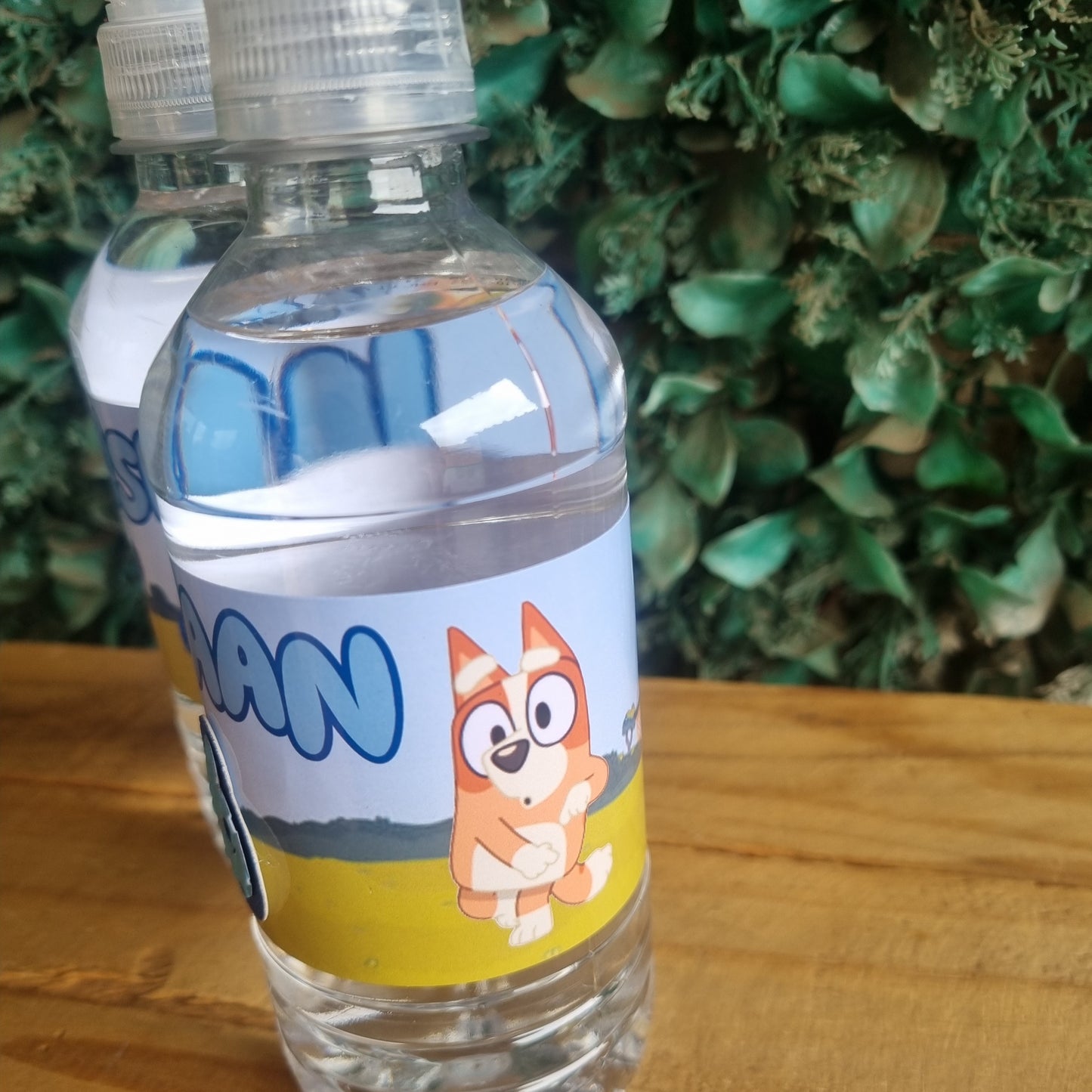 Clear water bottle with a colorful label featuring a cartoon character, on a wooden surface with greenery in the background.