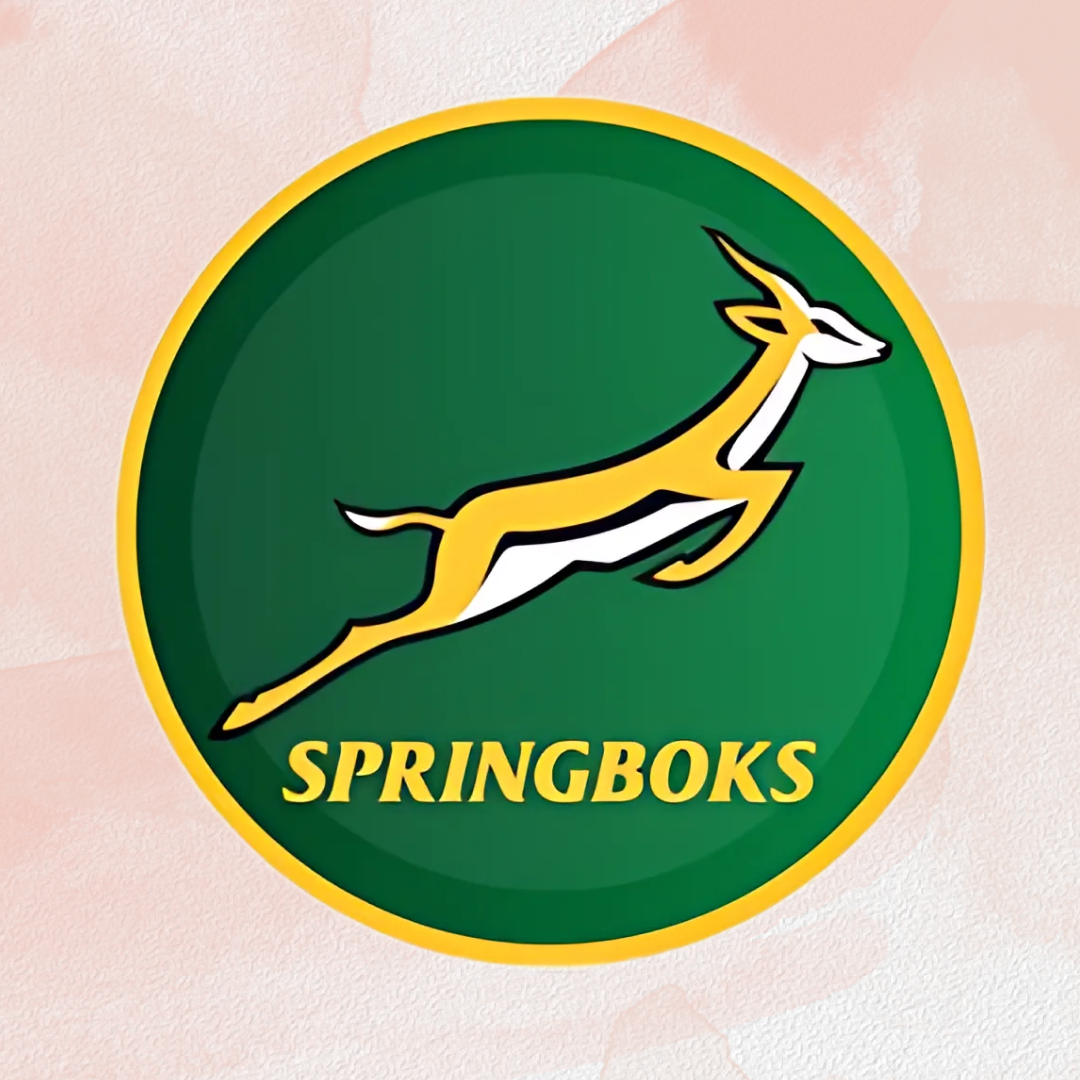 Springbok Themed Paper Plates โ 23cm Pack of 8