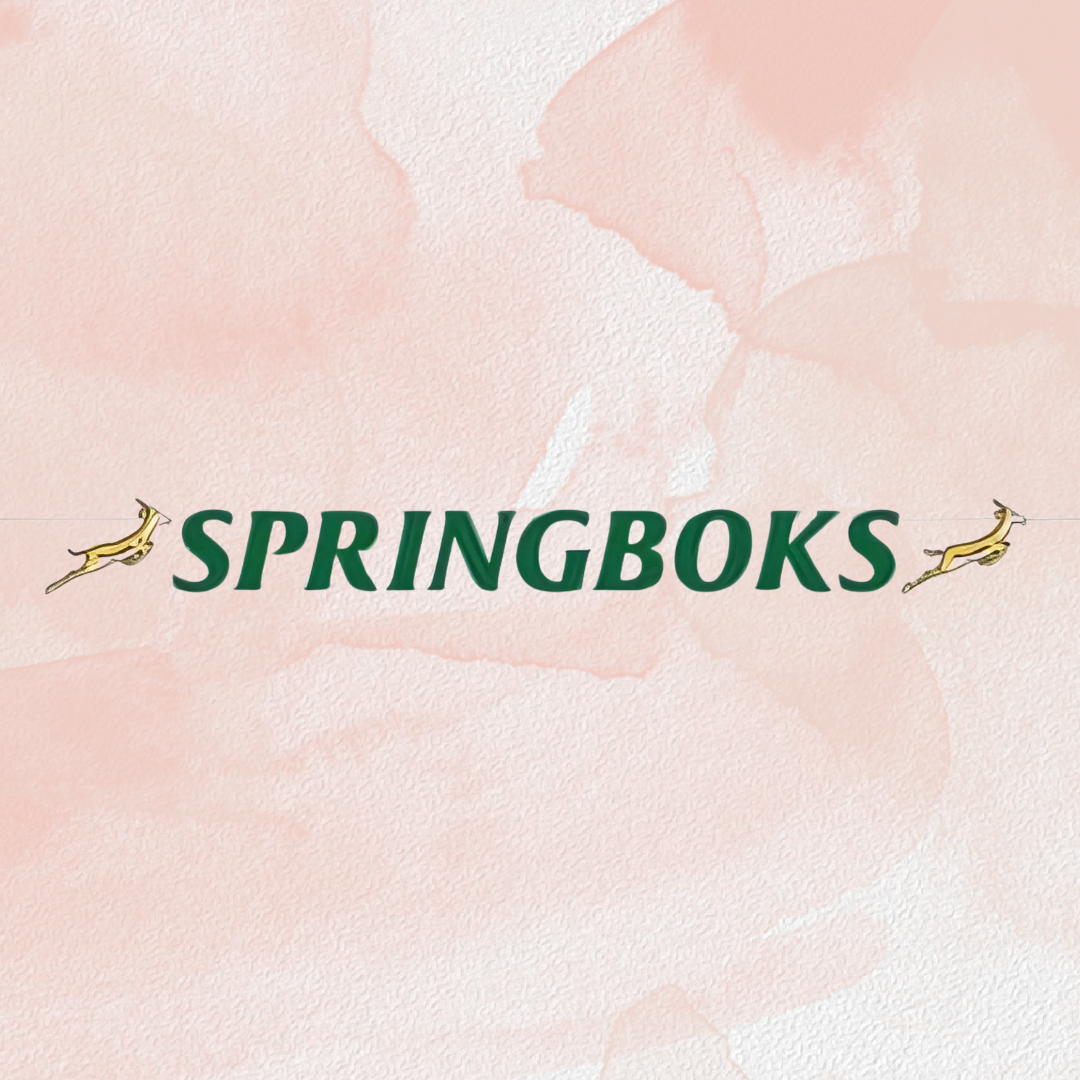 Springbok Themed Paper Banner – 2m