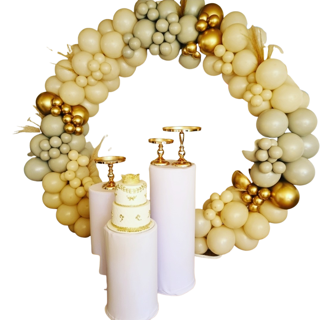 FULL HOOP BACKDROP Balloon Garland