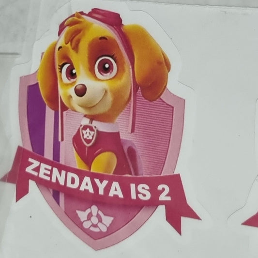 PAW PATROL STICKERS SET OF 12