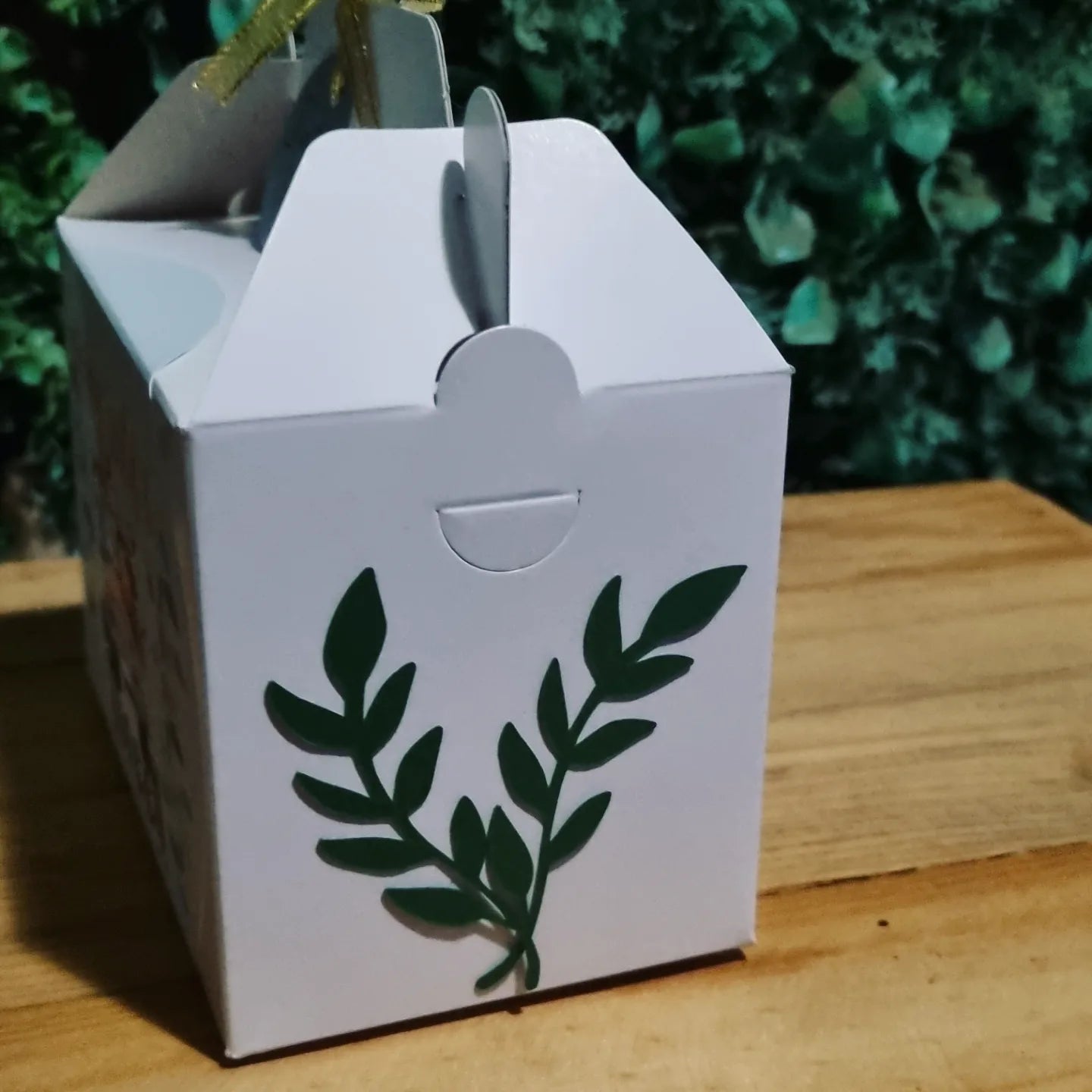 YOUNG, WILD AND FREE PARTY PACK 5 BOXES only, personalized kiddies birthday party themed decor party boxes customized