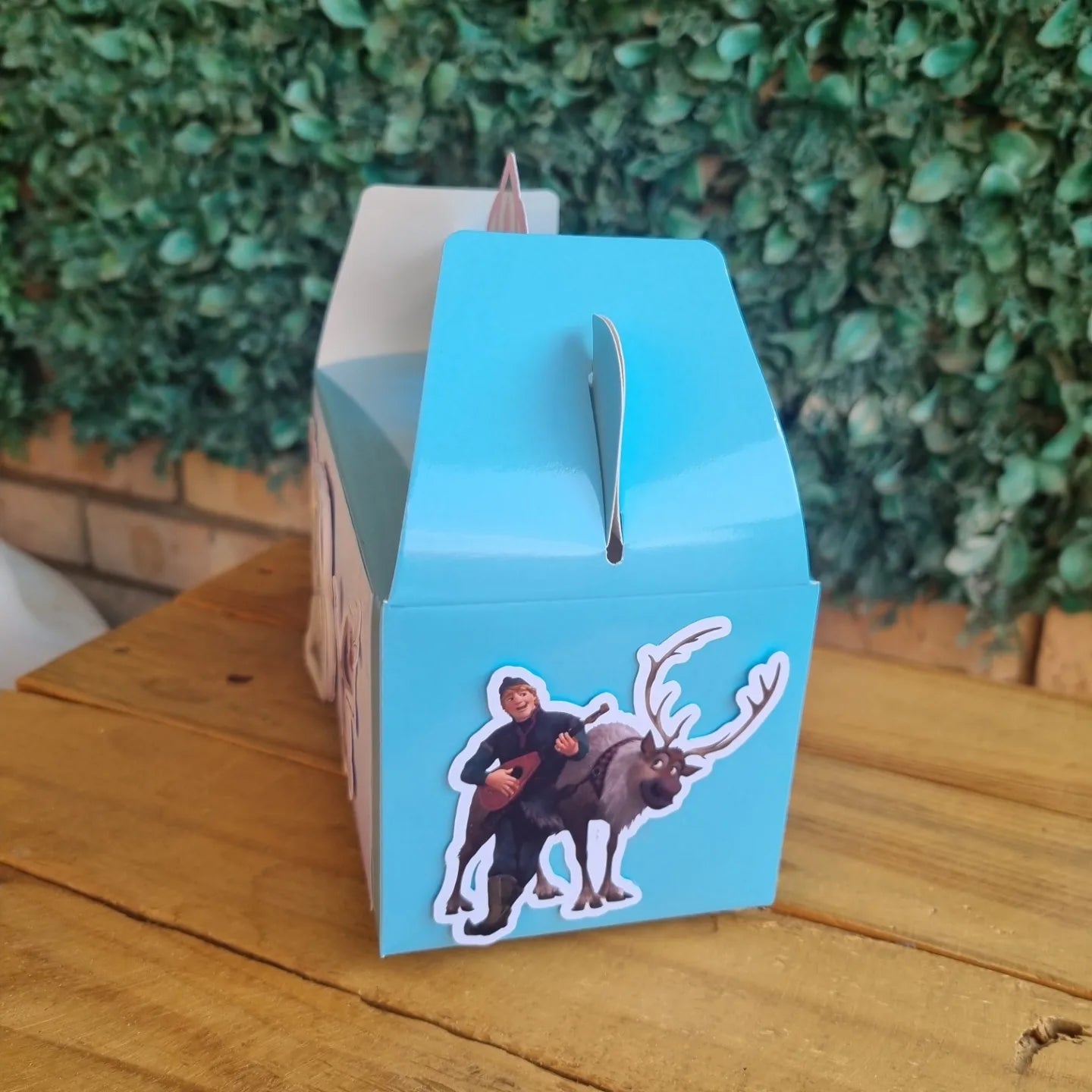 FROZEN PARTY PACK 5 BOXES only, personalized kiddies birthday party themed decor party boxes customized