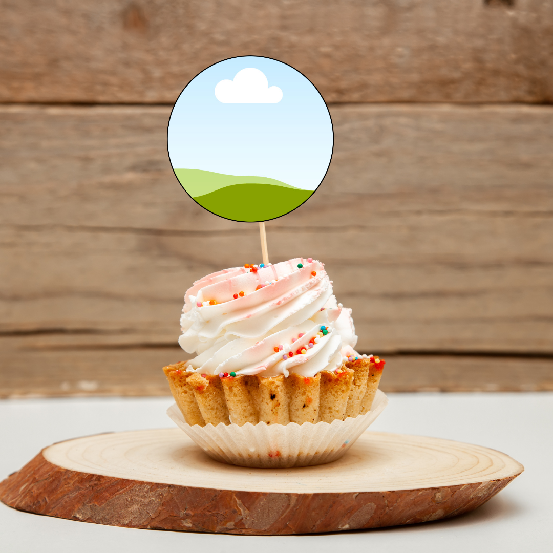 Custom Mini CUPCAKE TOPPER  SET OF 12 birthday party themed decor