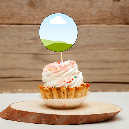 Custom Mini CUPCAKE TOPPER  SET OF 12 birthday party themed decor