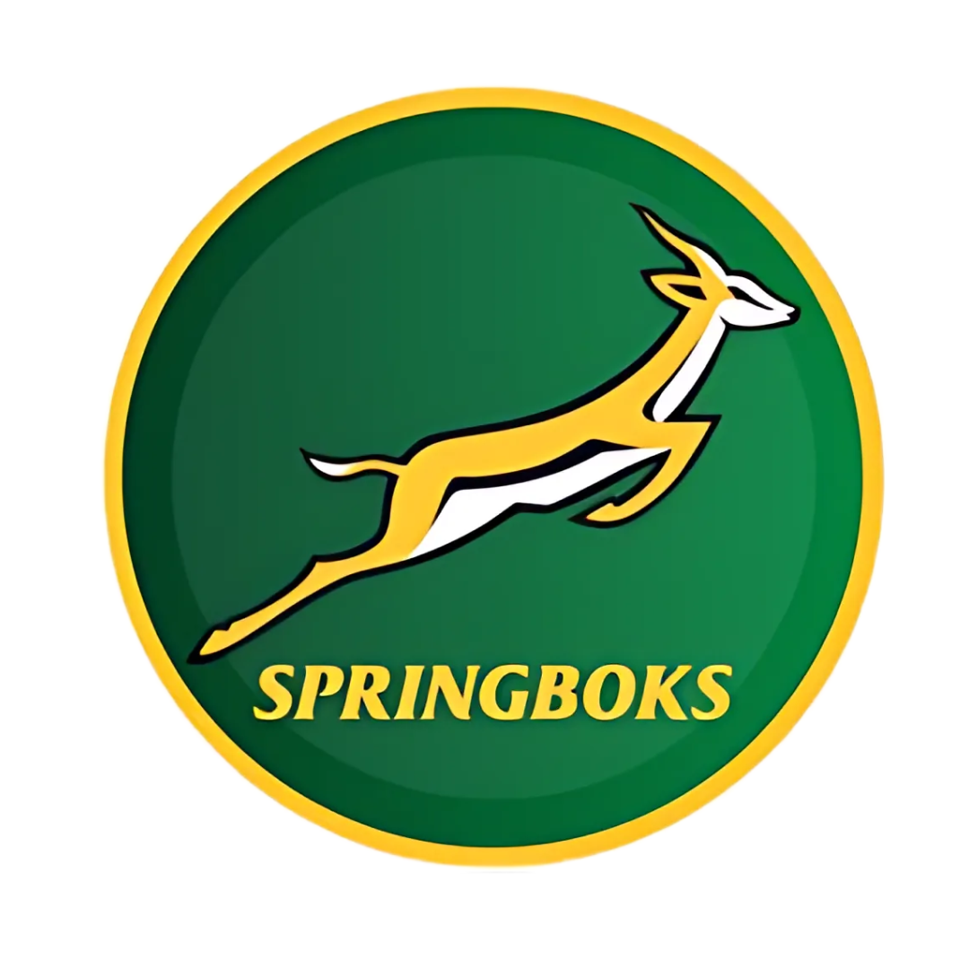 Springbok Themed Paper Plates – 23cm Pack of 8 – The Party Pak Team