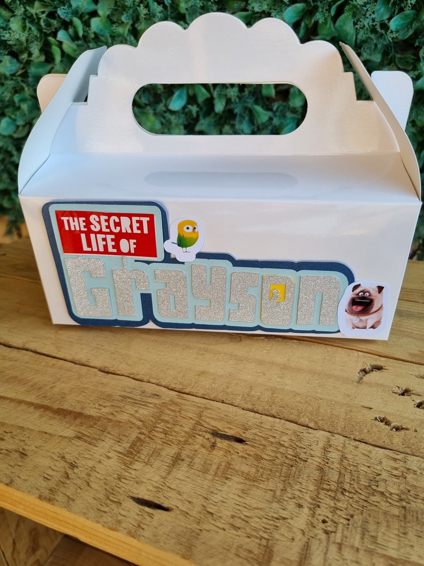 SECRET LIFE OF PETS PARTY PACK 5 BOXES only, personalized kiddies birthday party themed decor party boxes customized