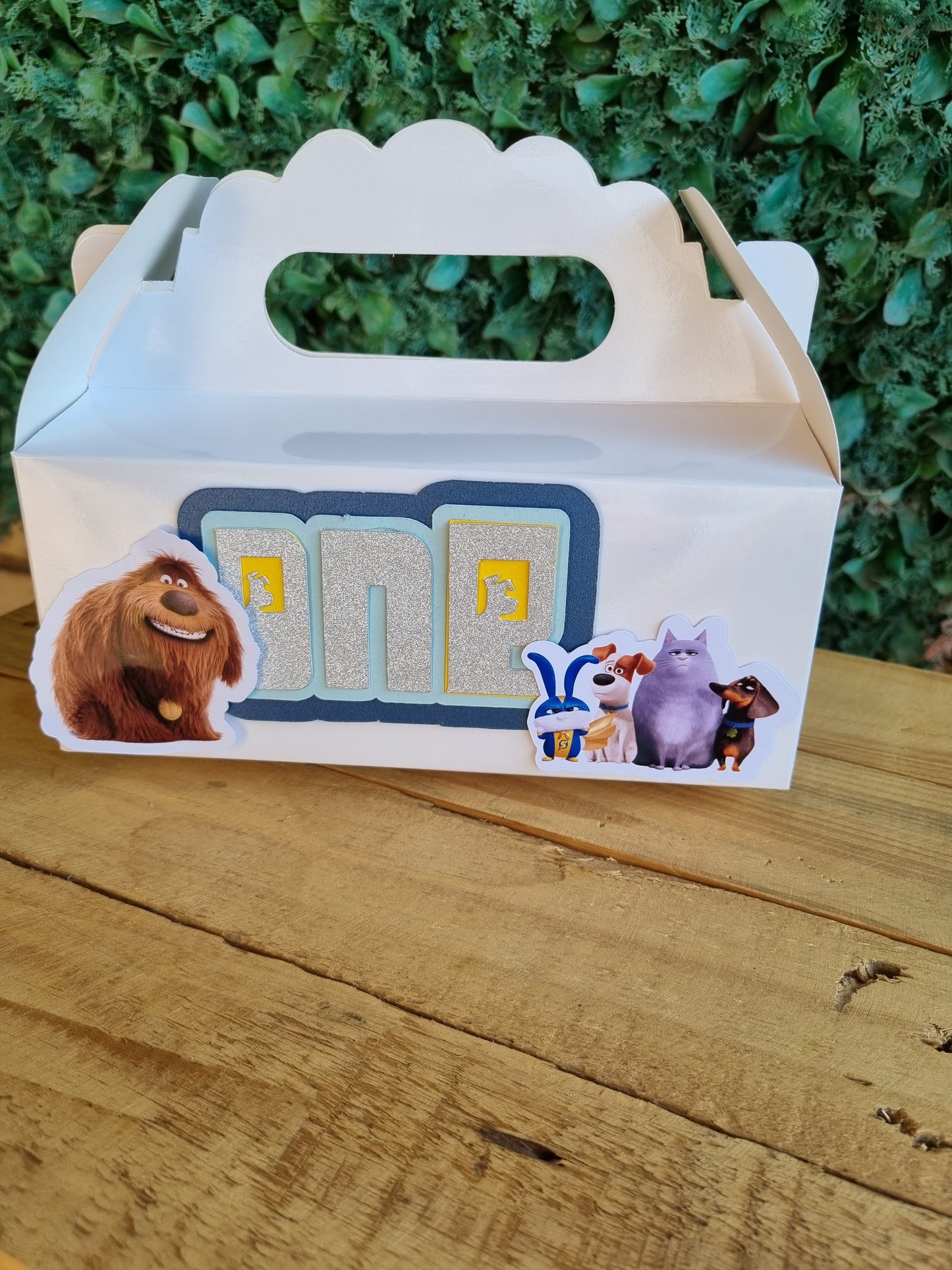 SECRET LIFE OF PETS PARTY PACK 5 BOXES only, personalized kiddies birthday party themed decor party boxes customized