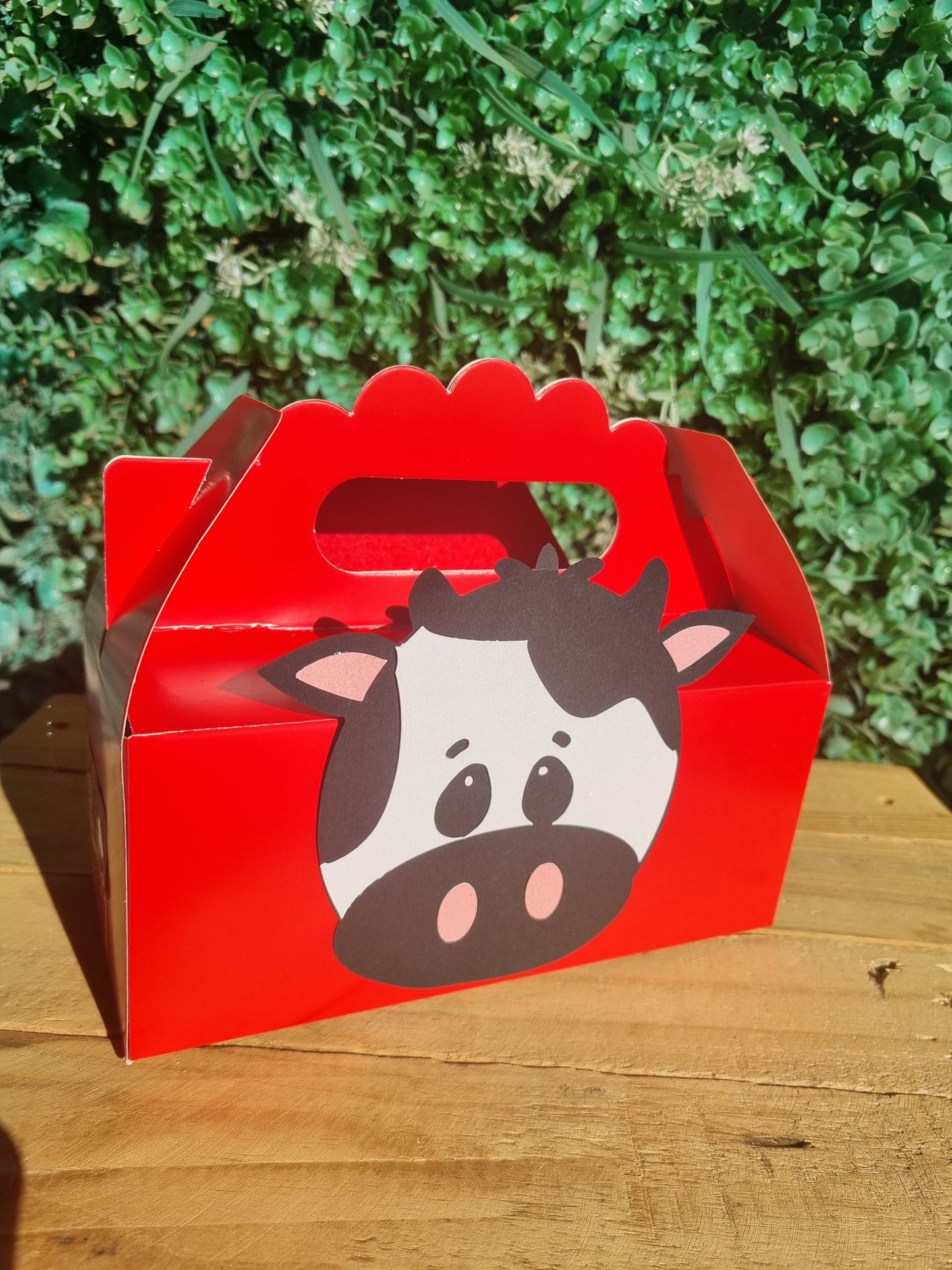 FARMYARD/ BARNYARD/ FARM PARTY PACK 5 BOXES only, personalized kiddies birthday party themed decor party boxes customized