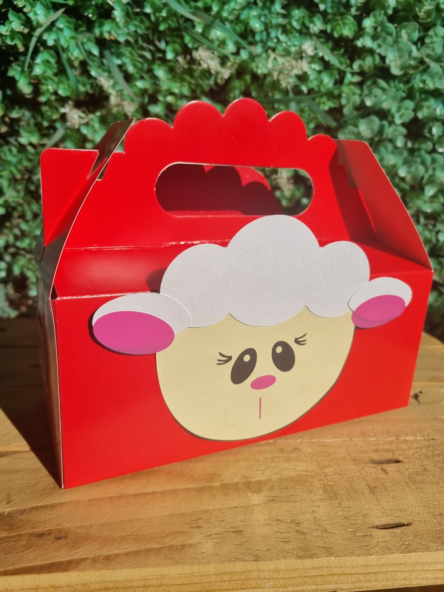 FARMYARD/ BARNYARD/ FARM PARTY PACK 5 BOXES only, personalized kiddies birthday party themed decor party boxes customized