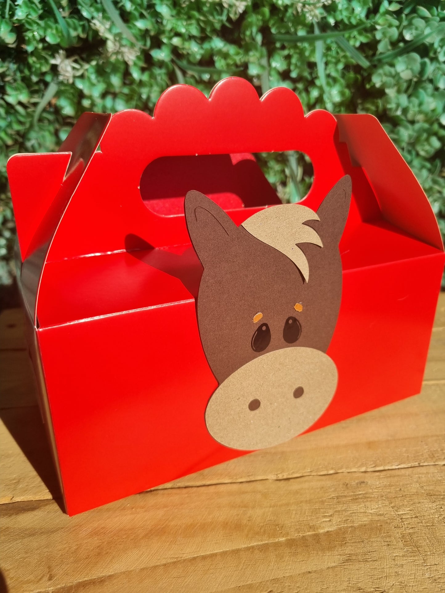 FARMYARD/ BARNYARD/ FARM PARTY PACK 5 BOXES only, personalized kiddies birthday party themed decor party boxes customized