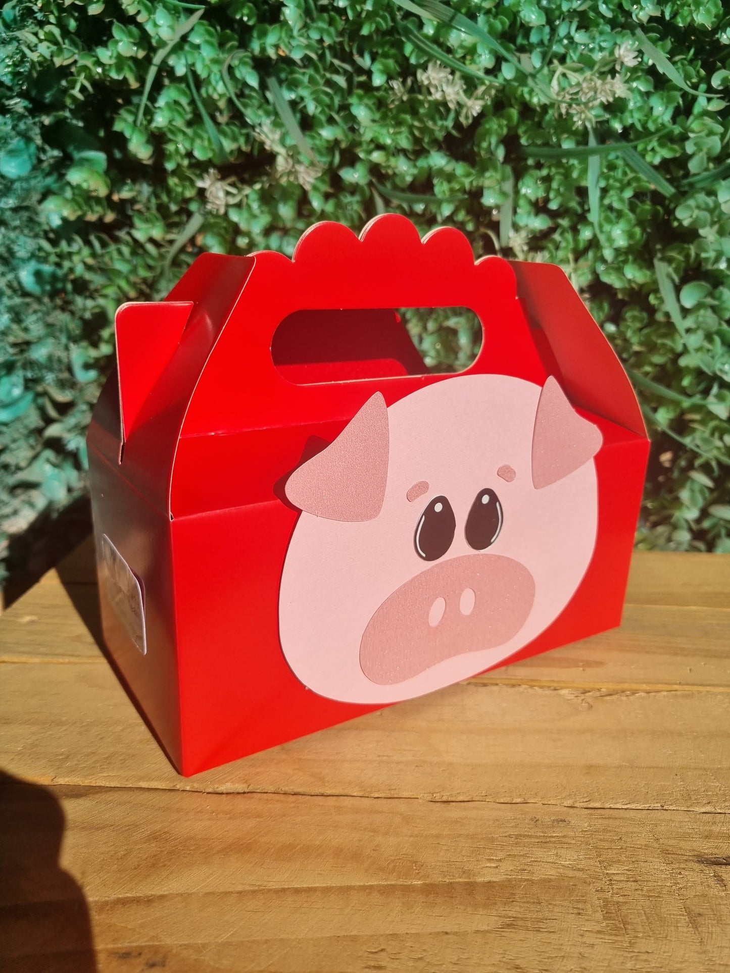 FARMYARD/ BARNYARD/ FARM PARTY PACK 5 BOXES only, personalized kiddies birthday party themed decor party boxes customized