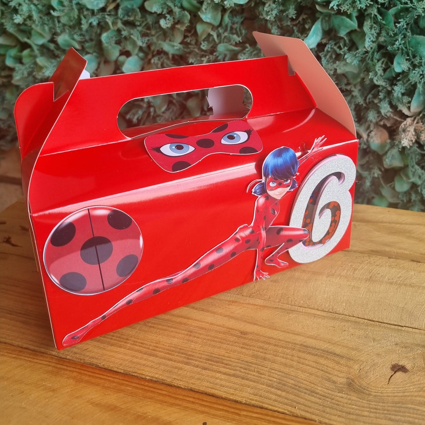 MIRACULOUS LADYBUG PARTY PACK 5 BOXES only, personalized kiddies birthday party themed decor party boxes customized