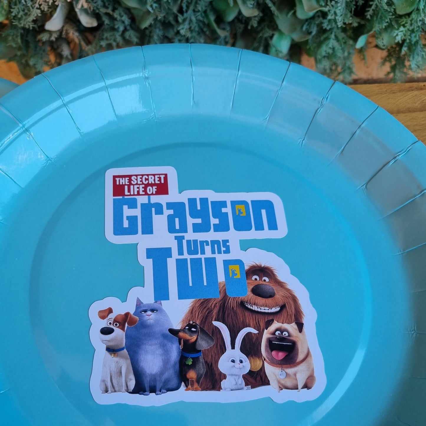 SECRET LIFE OF PETS PAPER PLATES SET OF 10