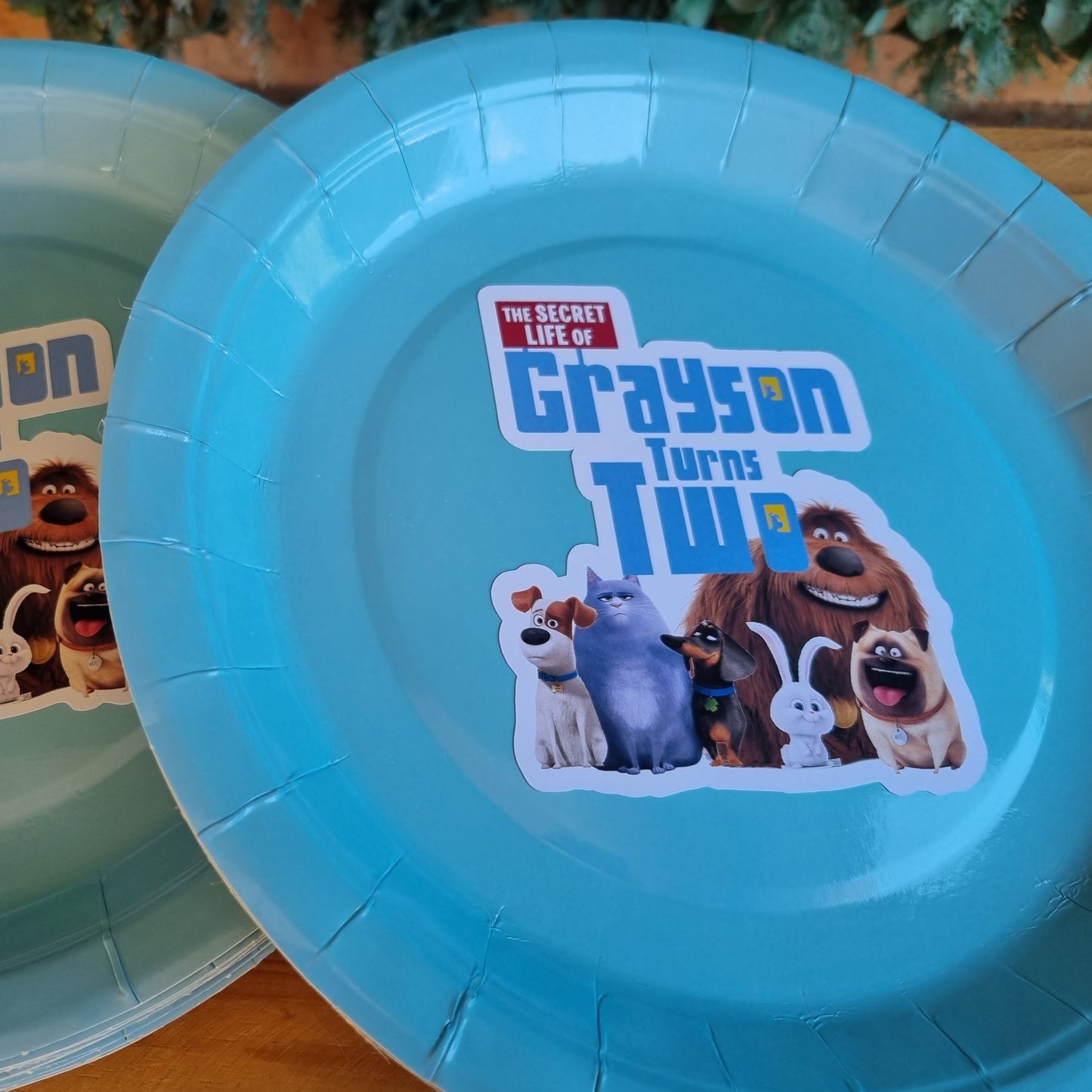 SECRET LIFE OF PETS PAPER PLATES SET OF 10