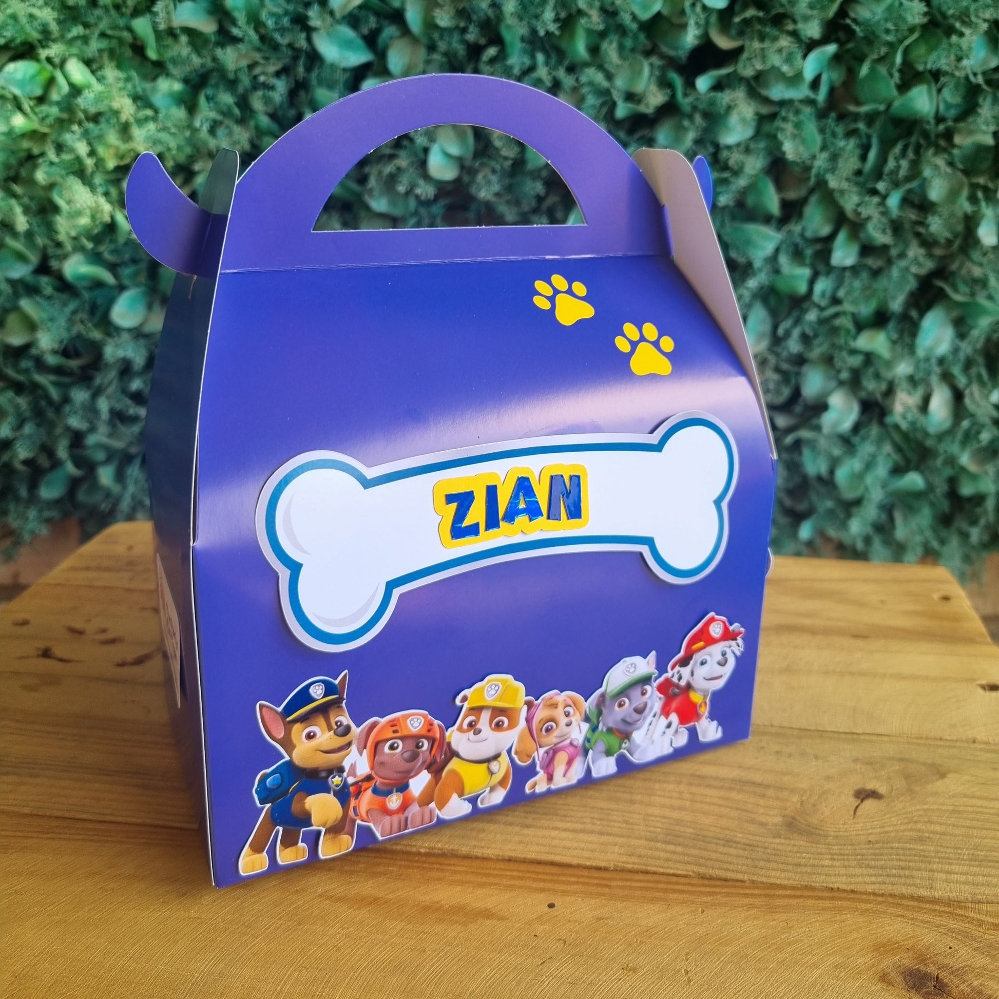 Blue container with cartoon characters on a green grass and wooden surface