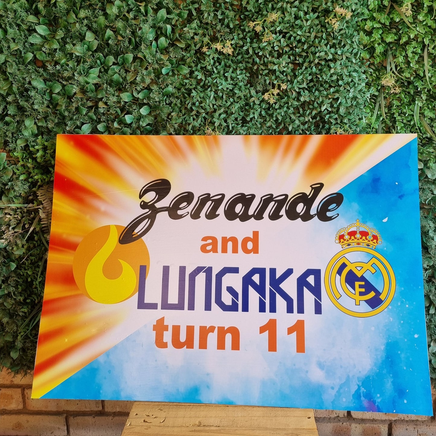Promotional poster for Jemande and Lungaka with colorful design on a grassy background