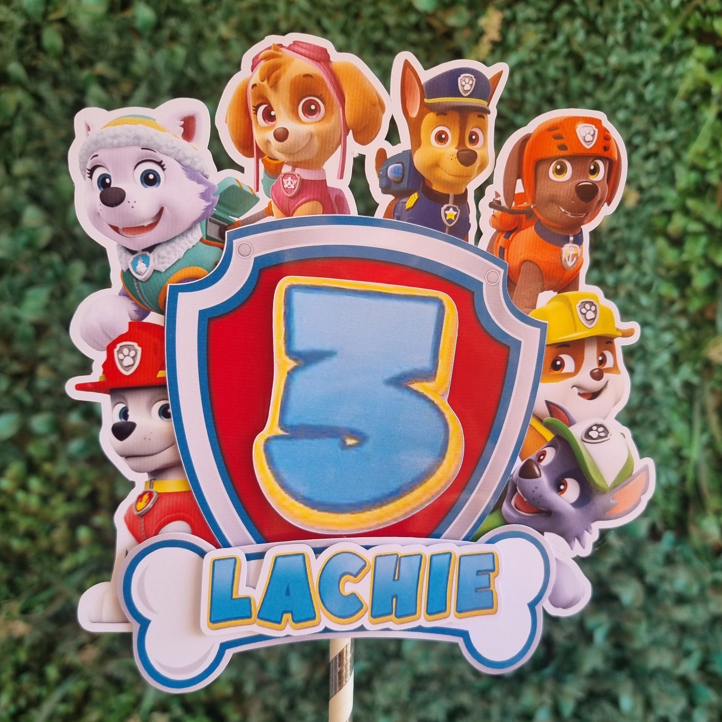 Sticker with cartoon dog characters and 'Lachie' text on a grass background