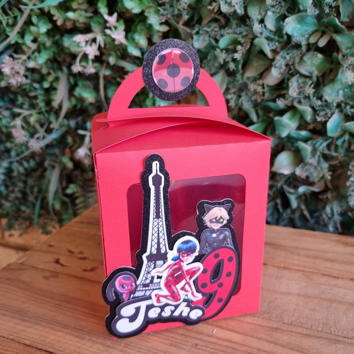 Red box with a black and white character design on a wooden surface with greenery in the background