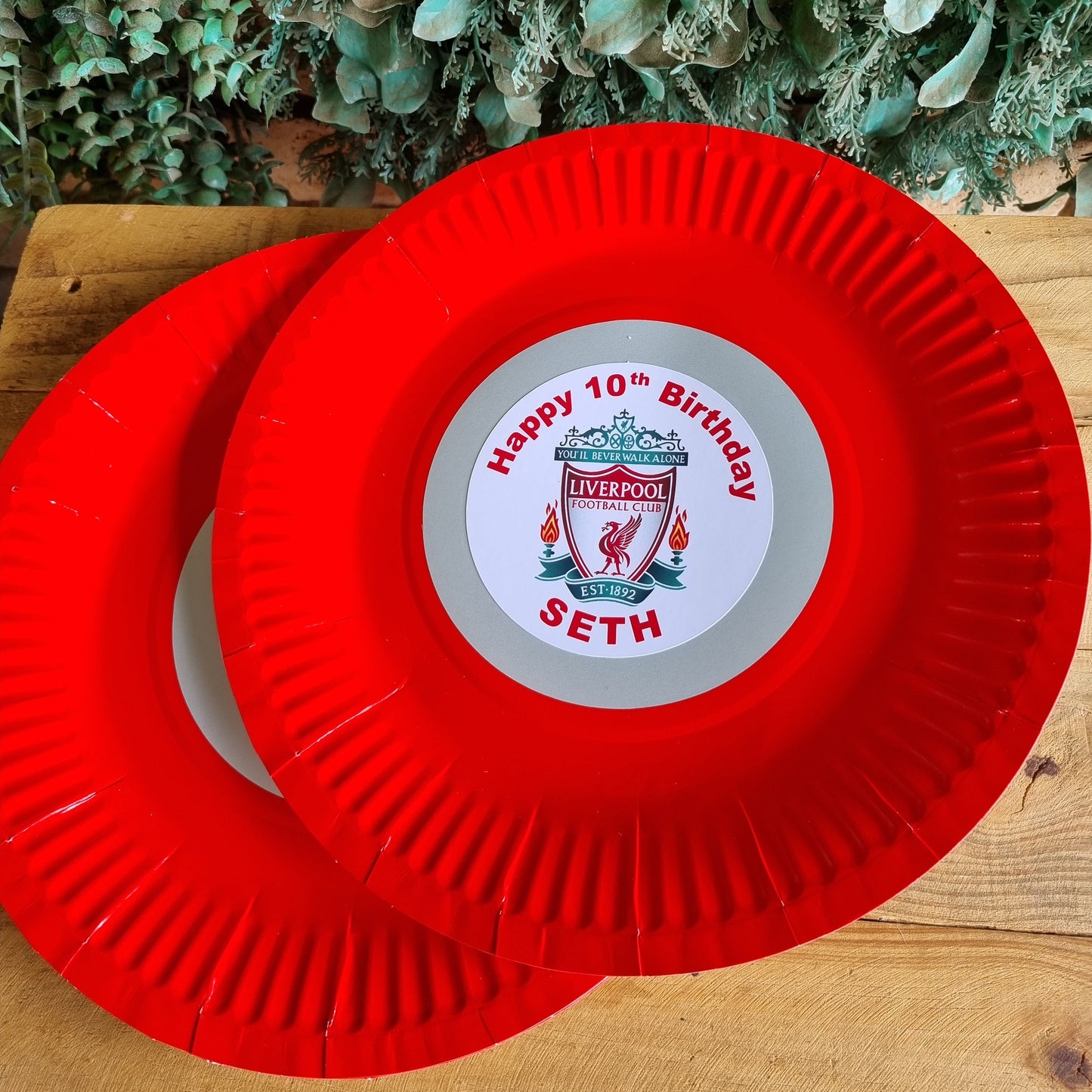 Red paper plates with a 'Happy Birthday' label on a wooden surface next to greenery.