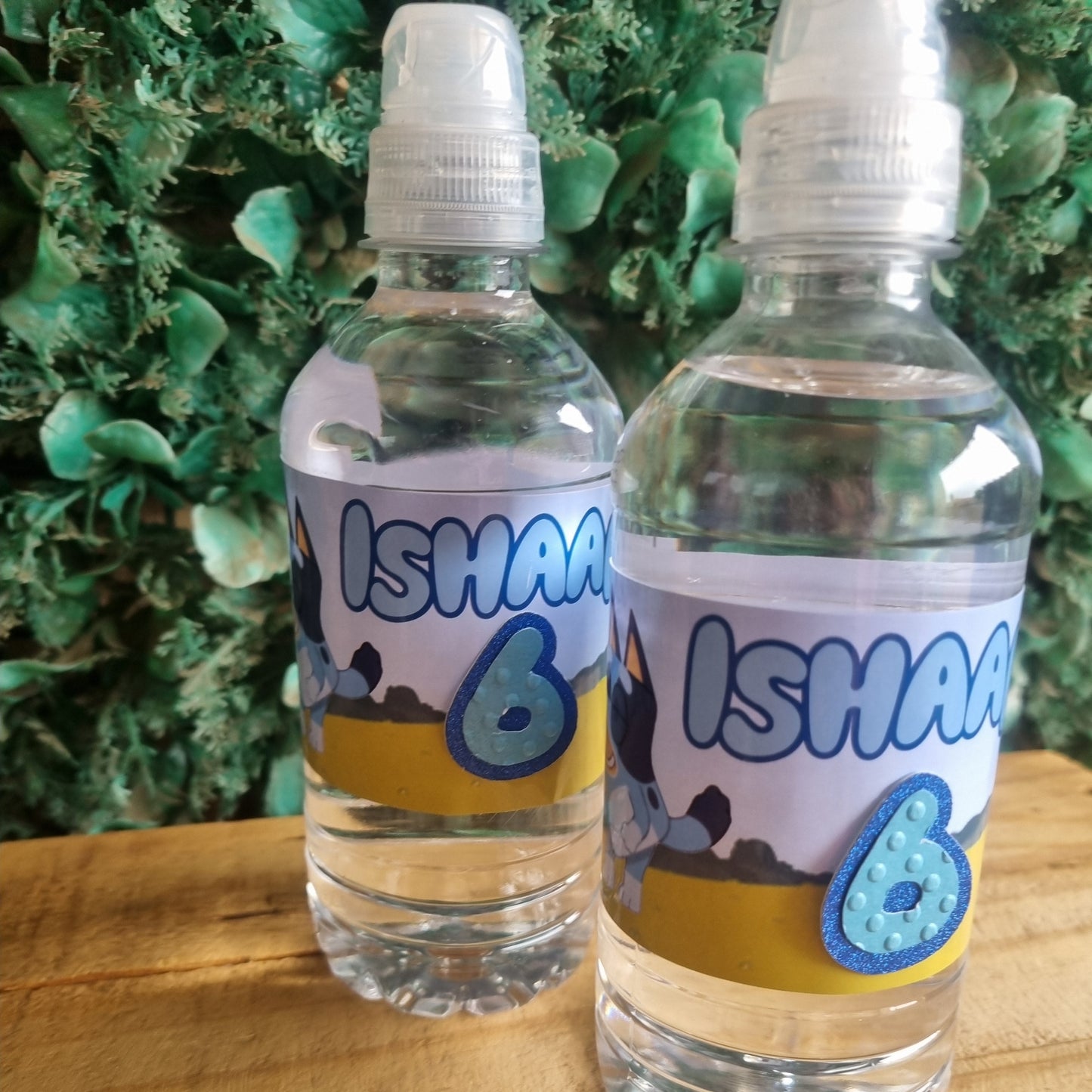 Two bottles of Iswib water on a wooden surface with greenery in the background