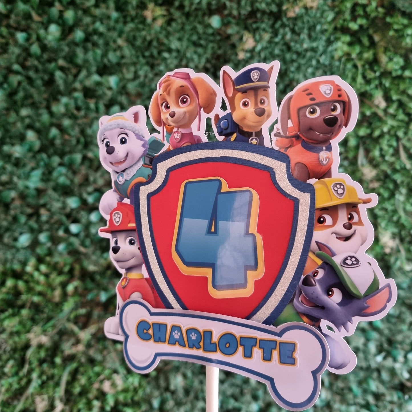 Decorative cake topper with cartoon characters and a logo on a green grass background