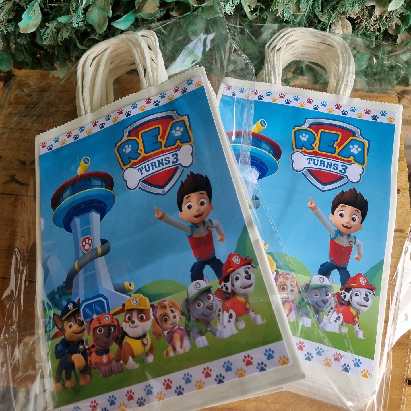 Two children's books featuring cartoon characters on a wooden surface with greenery.