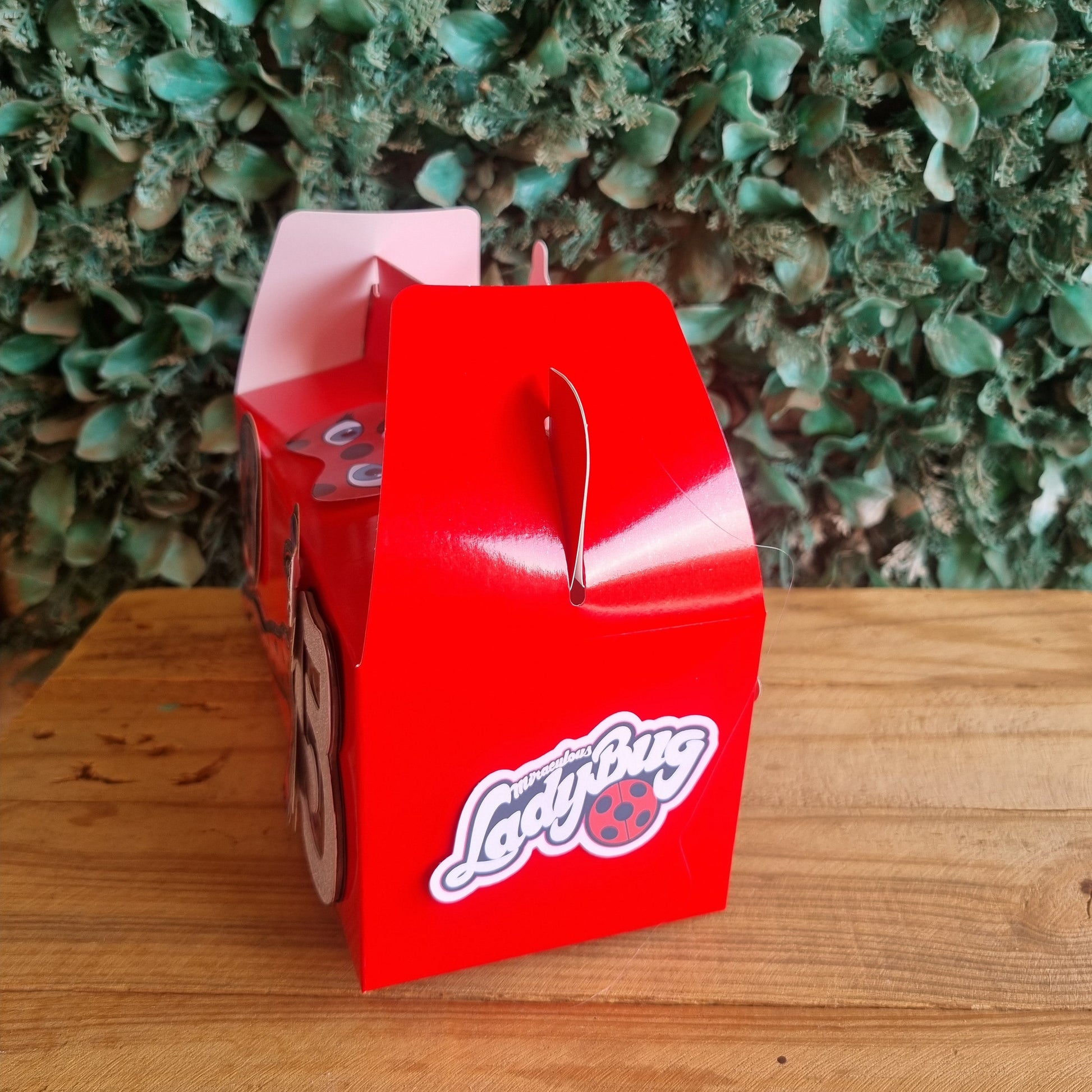 Red box with a logo on a wooden surface next to green foliage