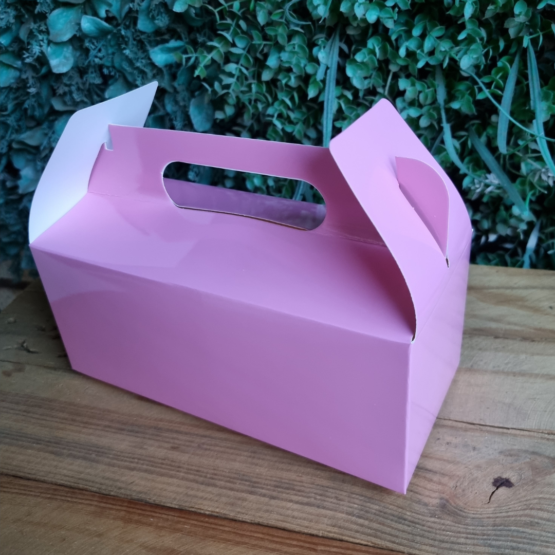 Plain Party Box Pack of 10 Light/Pastel Pink