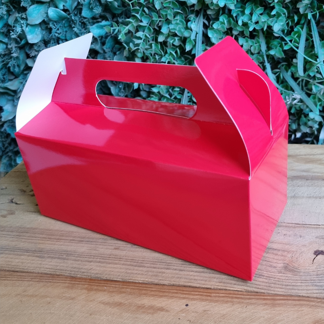 Plain Party Box Pack of 10 Red