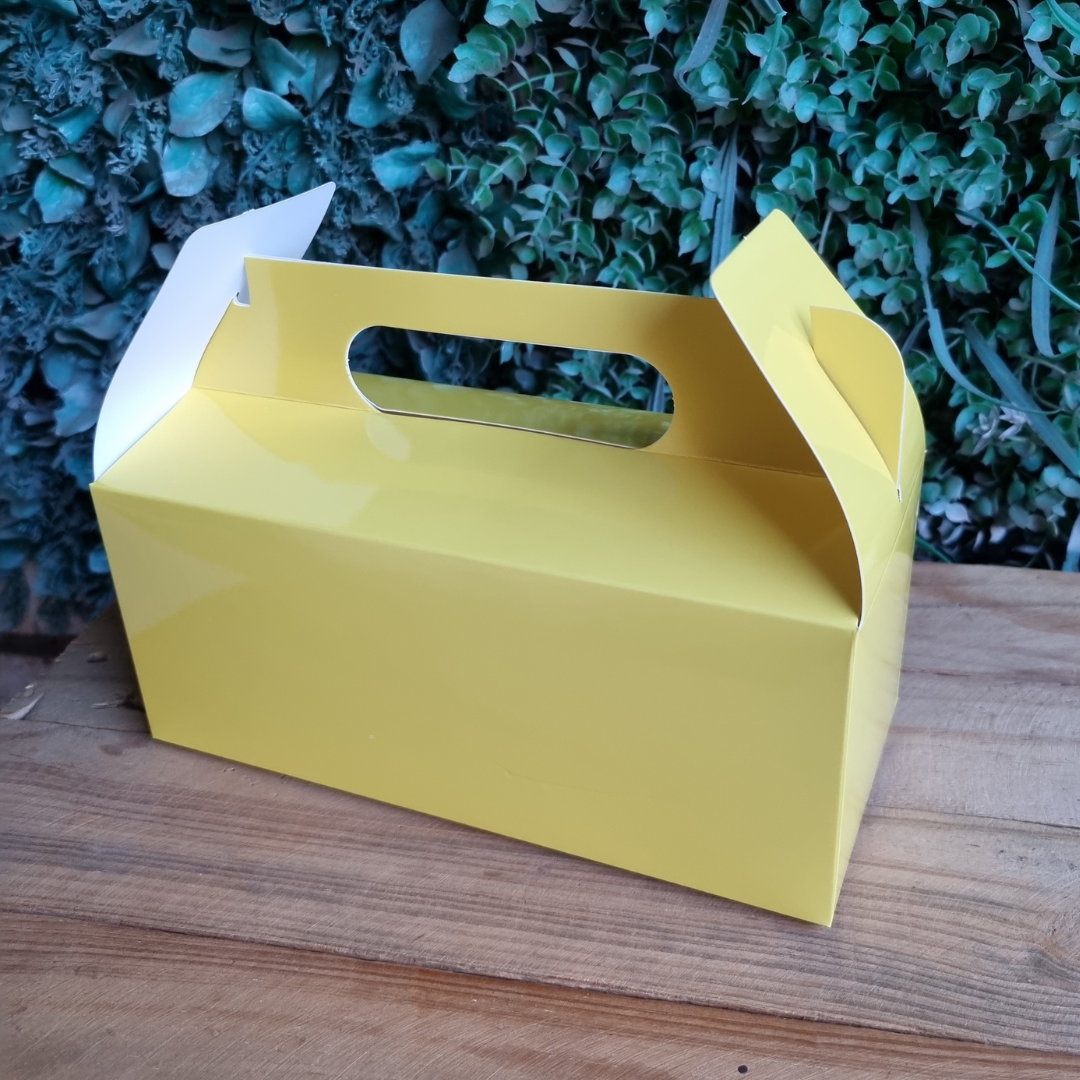 Plain Party Box Pack of 10 Yellow