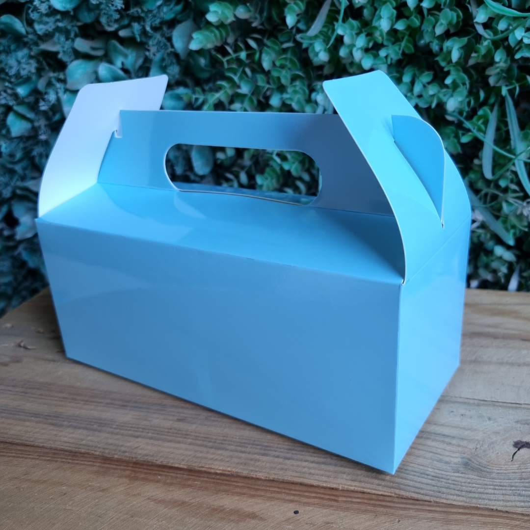 Plain Party Box Pack of 10 Light/Pastel Blue