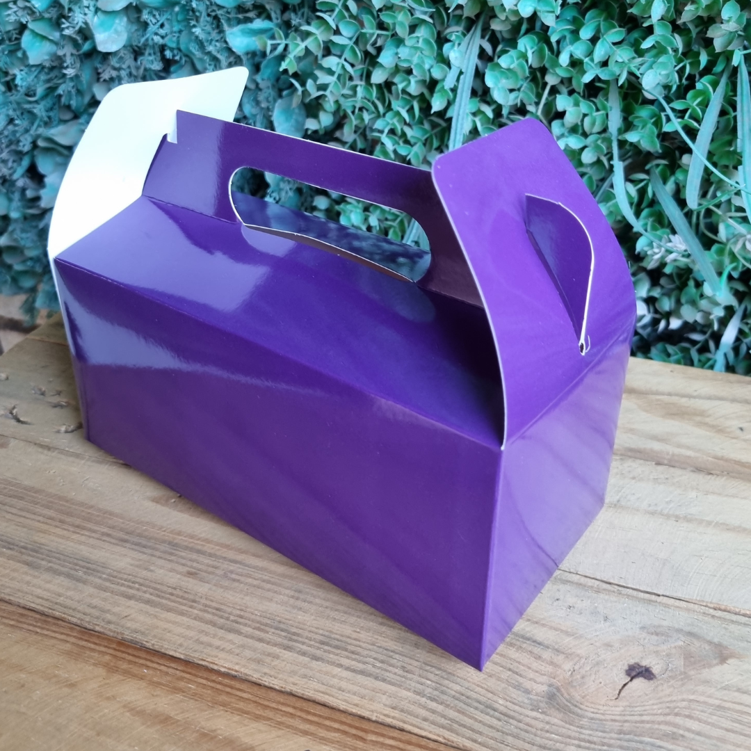 Plain Party Box Pack of 10 Purple