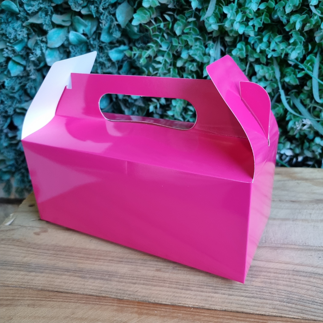 Plain Party Box Pack of 10 Cerise/Bright Pink