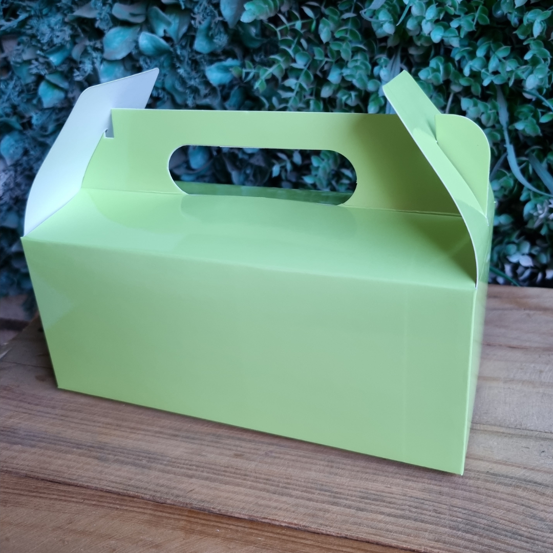 Plain Party Box Pack of 10 Lime Green