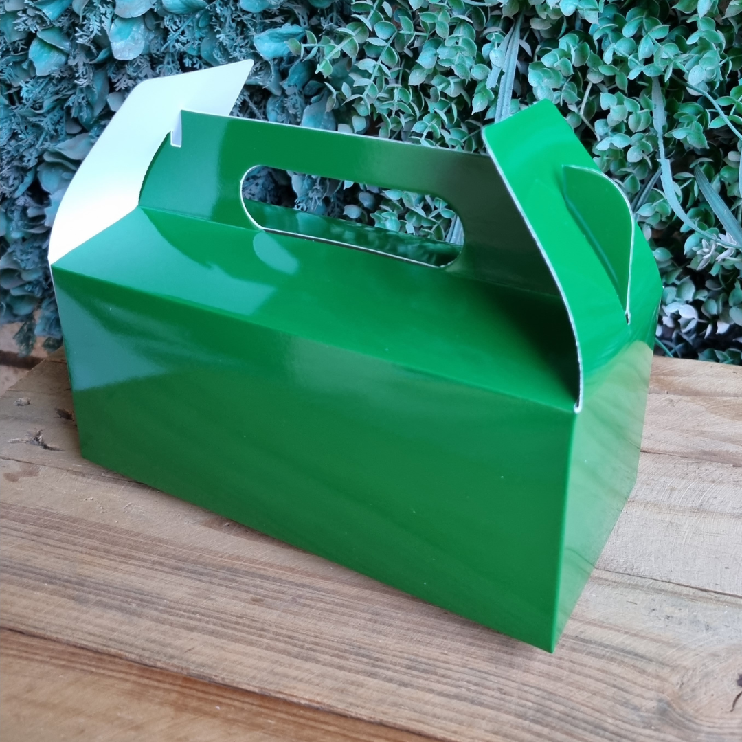 Plain Party Box Pack of 10 Forest Green