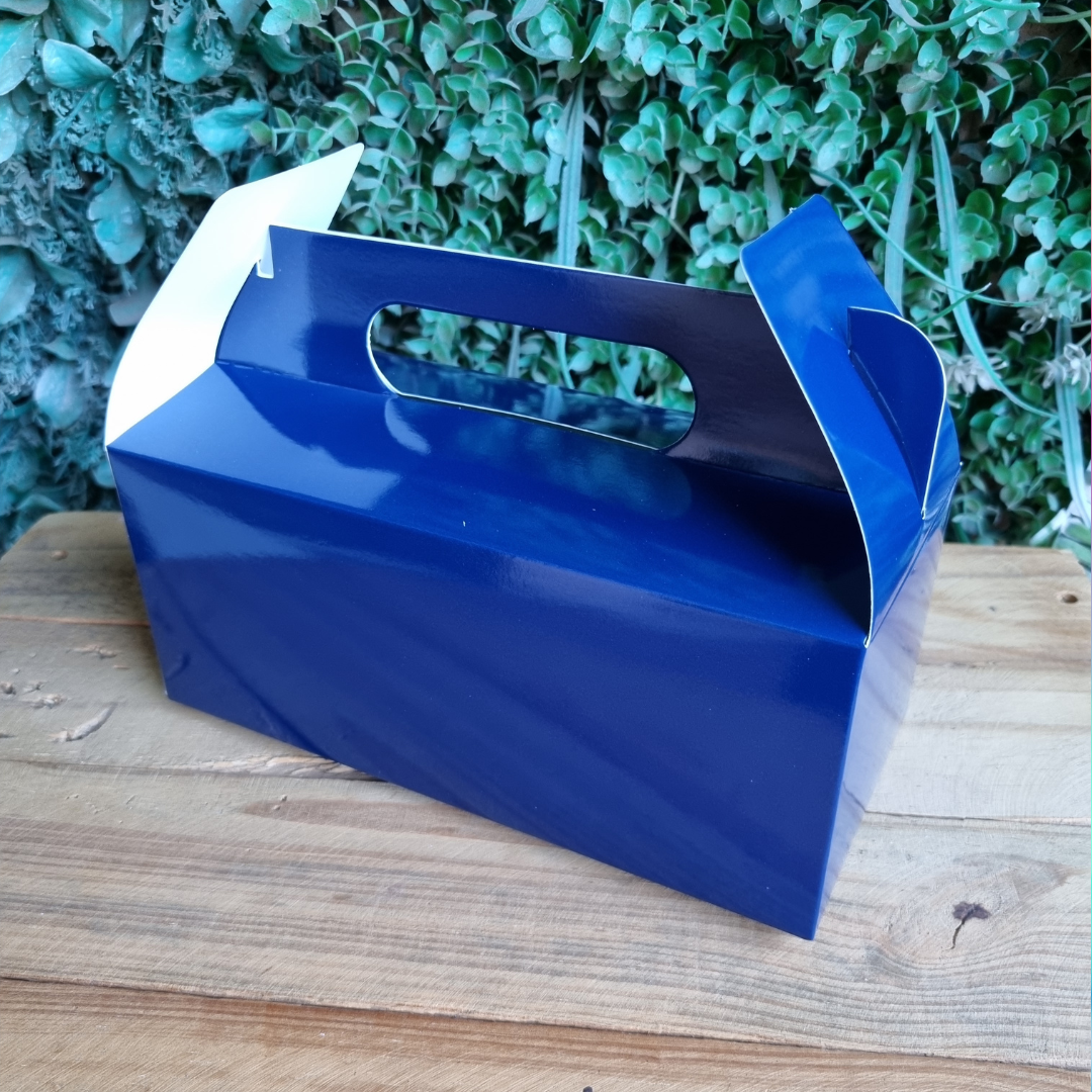 Plain Party Box Pack of 10 Navy Blue