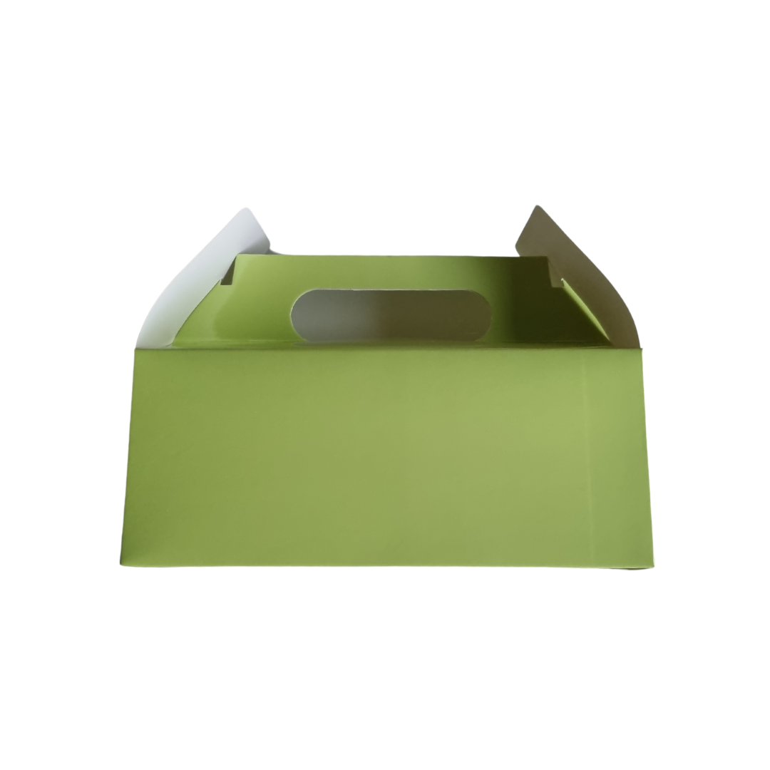 Plain Party Box Pack of 10 Lime Green