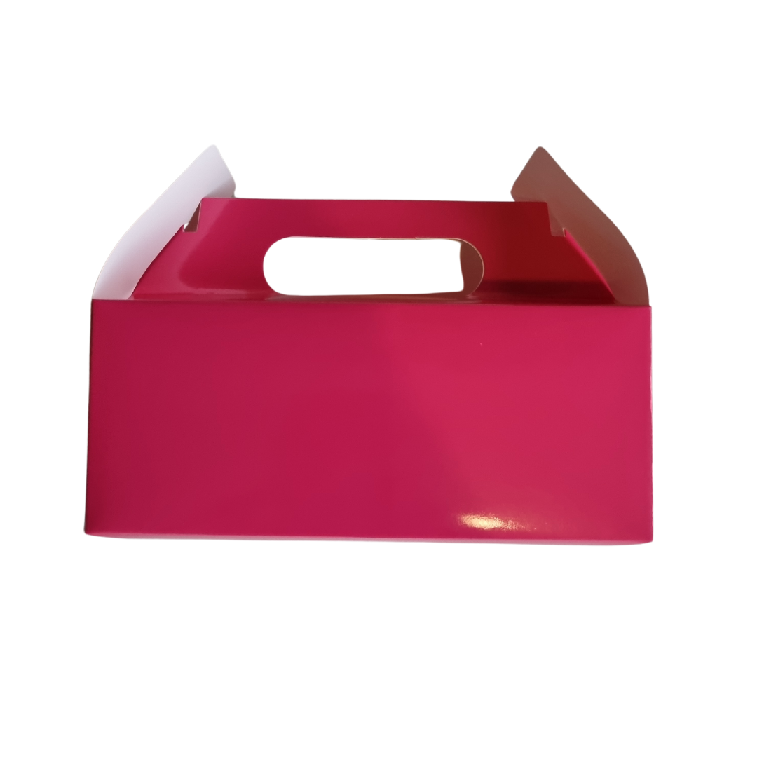 Plain Party Box Pack of 10 Cerise/Bright Pink